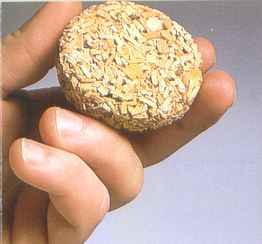 Bradley Bisquettes - Apple - 120 Packs