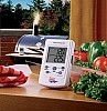 Remote Smoker Thermometer