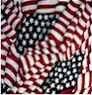 Tank Teddies - AmeriTeddie