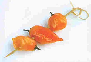 Steven Raichlen - Knotted Bamboo Skewers 4 Inch Long Set of 24